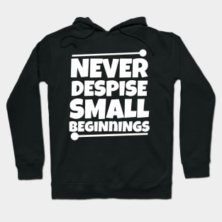 Never despise small beginnings Hoodie